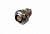EСG.1B.304.CLL